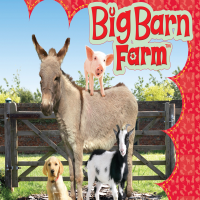 Big Barn Farm / بیگ بارن فارم