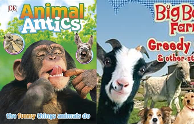 Big Barn Farm & Animal Antics