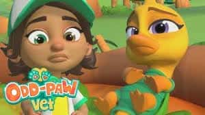 Odd-Paw Vet